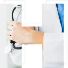 Law Firms & Legal Services