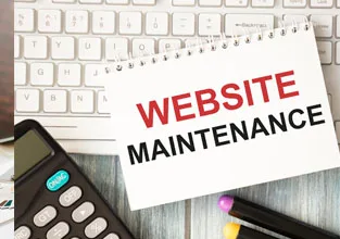 Maintenance & Support